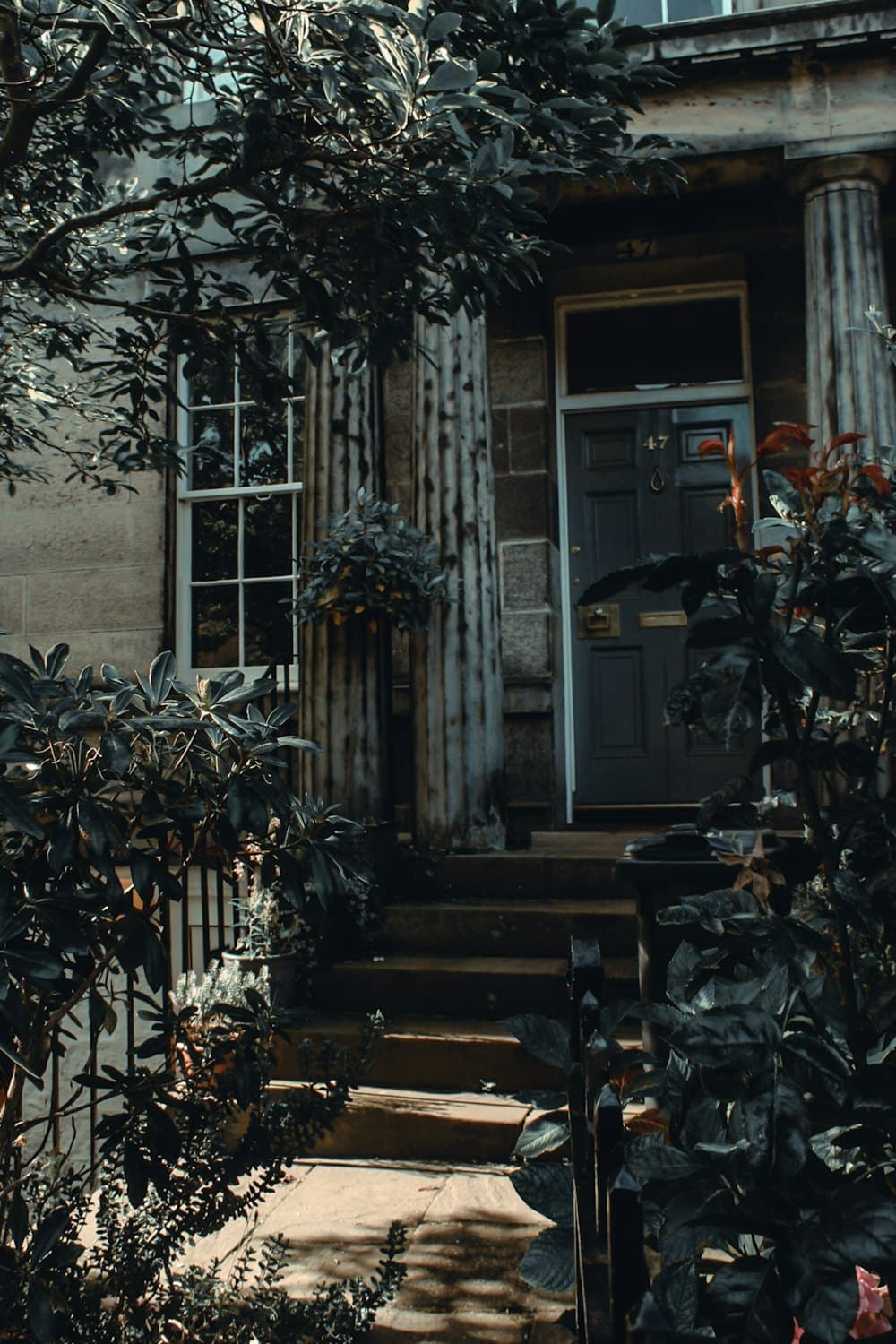 A Georgian front door in Edinburgh